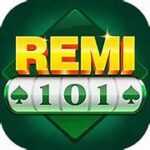 Remi 101